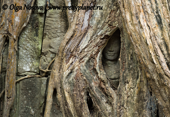 древние храмы Ангкора, Камбоджа