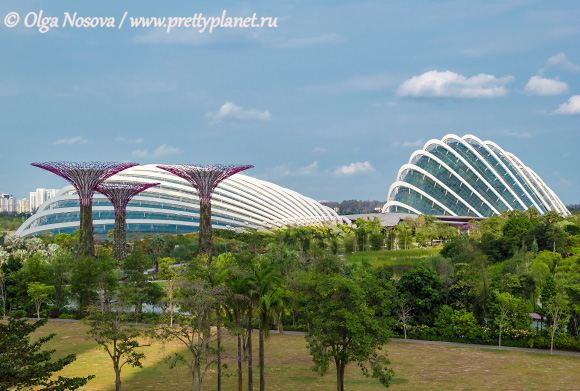 сады и оранжереи Сингапура